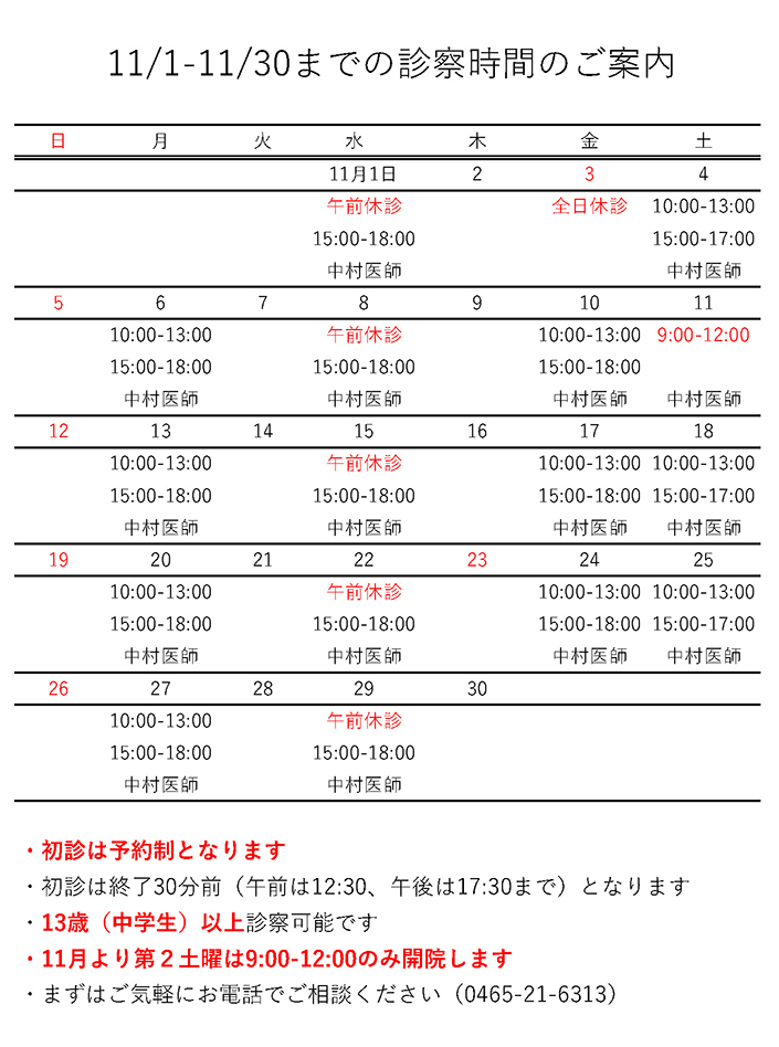 11月の診療日程